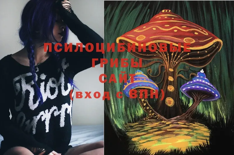 Галлюциногенные грибы Psilocybe  mega онион  Алексеевка  дарнет шоп 